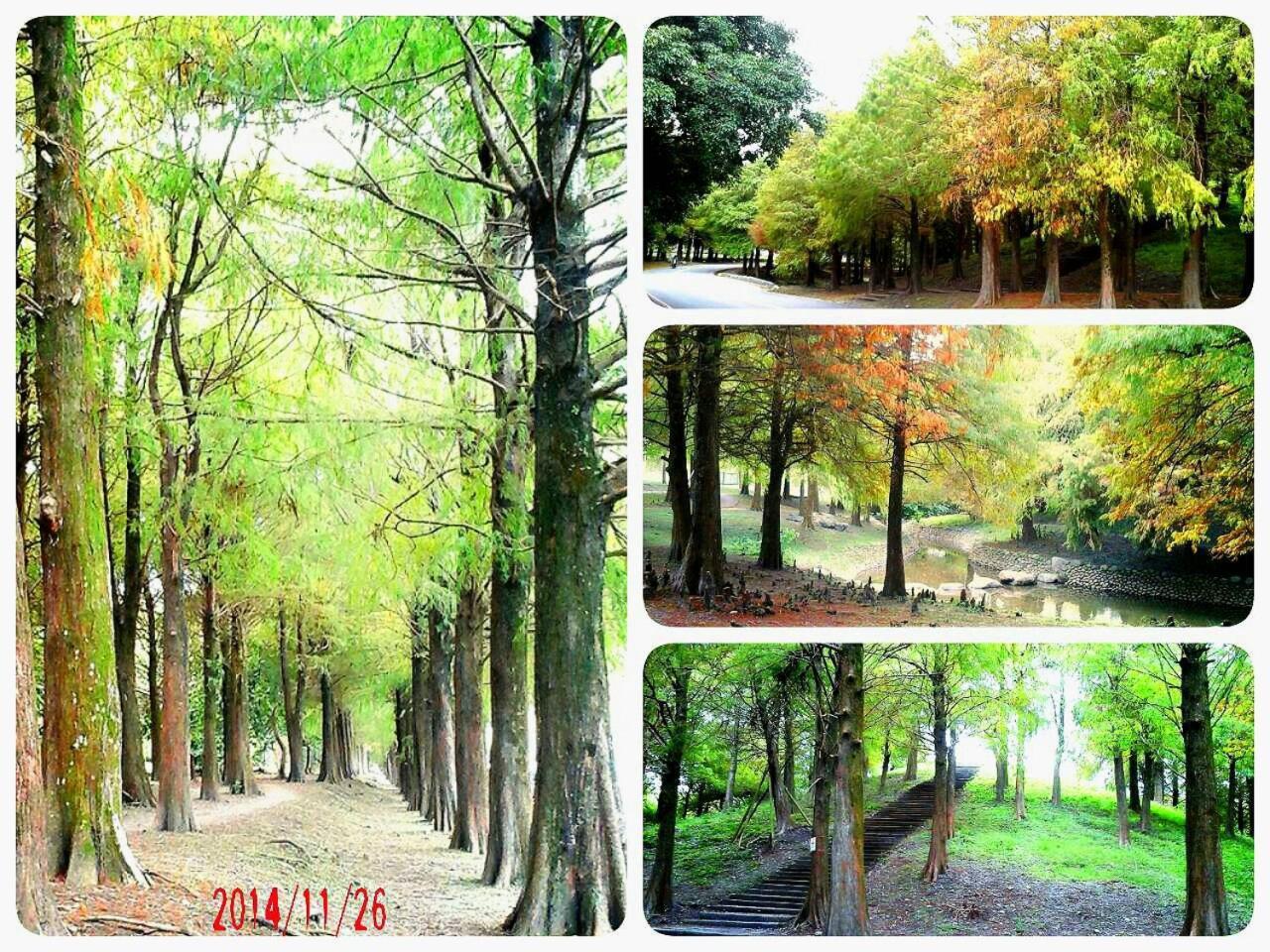 公園 B&B Luodong Exteriér fotografie